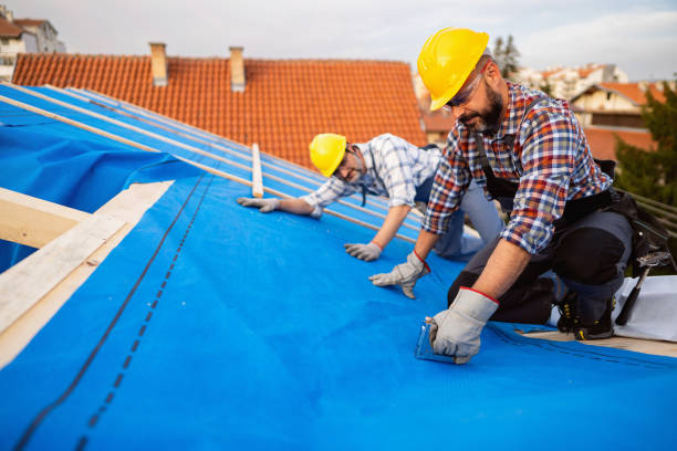 Best Roof Gutter Cleaning  in Newaygo, MI