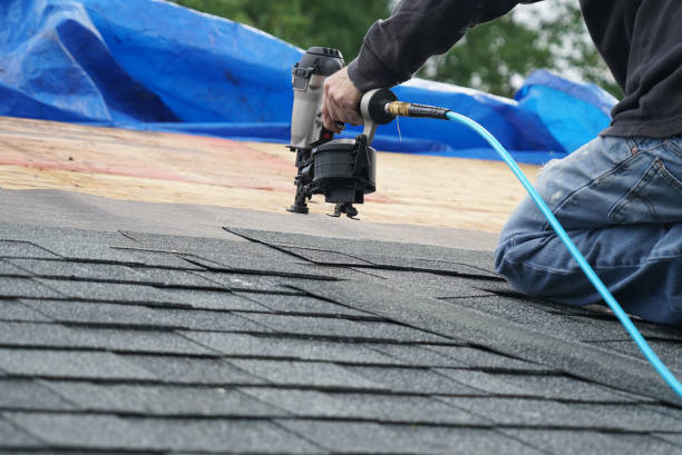 Best Residential Roofing Contractor  in Newaygo, MI