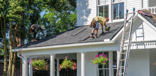 Best Residential Roofing Contractor  in Newaygo, MI