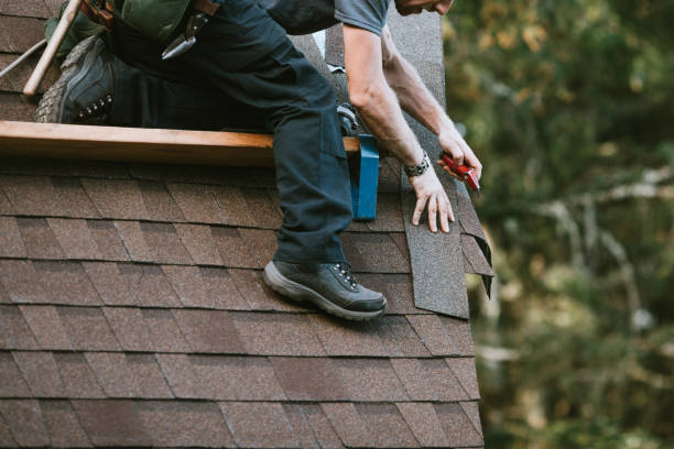 Quick and Trustworthy Emergency Roof Repair Services in Newaygo, MI