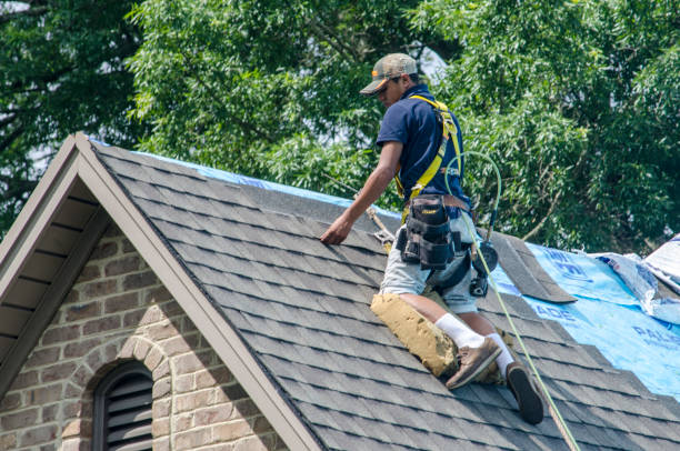 Best Slate Roofing Contractor  in Newaygo, MI