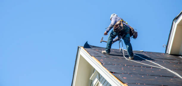 Best Roof Inspection Near Me  in Newaygo, MI
